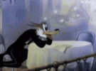 1000127669.gif