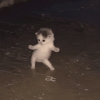 563.gif