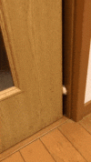 cat-hello-cat-peek.gif