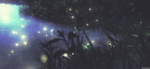 1000129779.gif