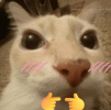 565.gif
