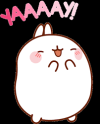 1000141777.png 1000141777.png