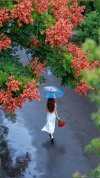 autumn.jpeg