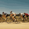 received_4697929570321758.gif