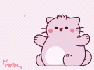 1792734076773.gif