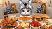 cat-eating.gif