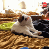 1792777894454.gif