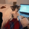 1000127904.gif