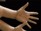 1000127908.gif