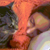 1792784258920.gif