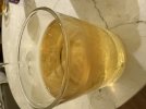 IMG_9547.jpeg