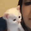 1792873701395.gif