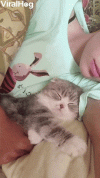 1792874332652.gif