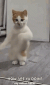 1000128152.gif