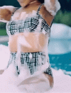 1000128172.gif 1000128172.gif