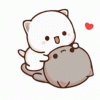 1000084760.gif