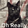 1000128181.gif