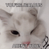 1000170652.gif
