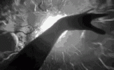 1000170663.gif