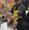 1000128341.gif