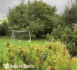 1792993634702.gif