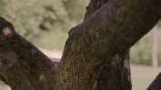 1792999364701.gif