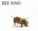 1793017783751.gif