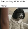 1000993139.jpg