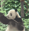 1000130655.gif