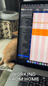 1793079184577.gif