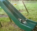 1793079369580.gif