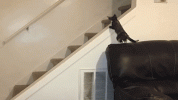 1793079729375.gif