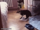 1793080599910.gif