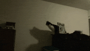 1793080625650.gif