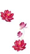 InShot_20261027_130106056.png