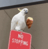 1000170900.gif