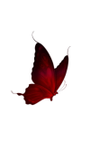 InShot_20261027_164035781.png
