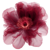 InShot_20261027_163850352.png