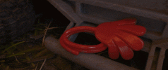 1793127228422.gif