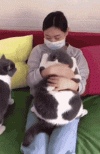 1000130380.gif