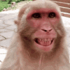 1000131052.gif