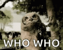 1000128909.gif