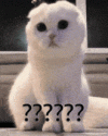 1000170948.gif