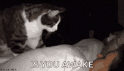 1793174101220.gif