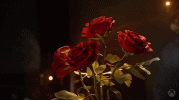 1793187086467.gif