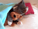 1793187595721.gif