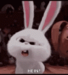 1000129152.gif 1000129152.gif