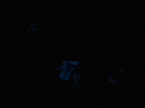 1000170993.gif