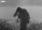 1793262161702.gif