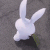d2c528d61633b9afebabc0f6559314a7.gif